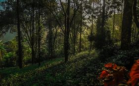 Southern Panorama Indriya Resorts & Spa